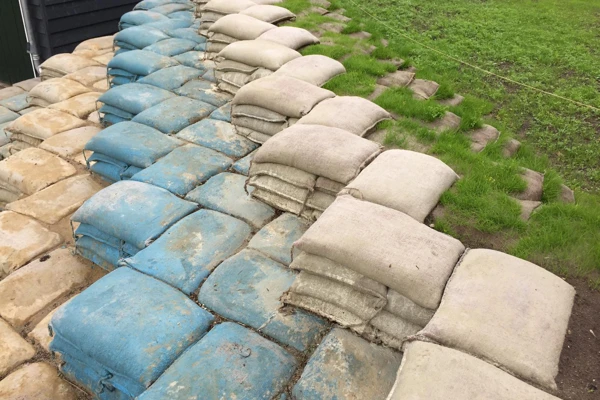 Detail van de overgang naar de tuin met ingezaaid gras